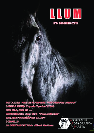 2012_5_Revista_LLUM_AFP