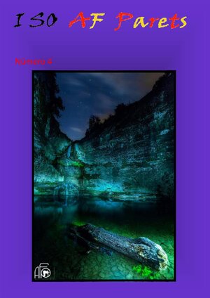 2015_4_Revista_ISO_AFP